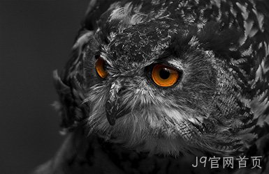 点击查看好品无休商城案例