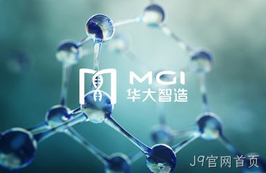 点击查看