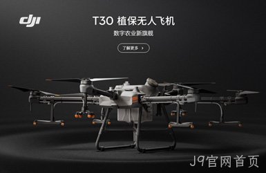 点击查看