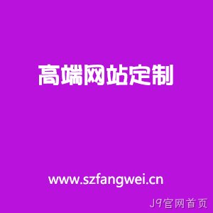高端定制网站