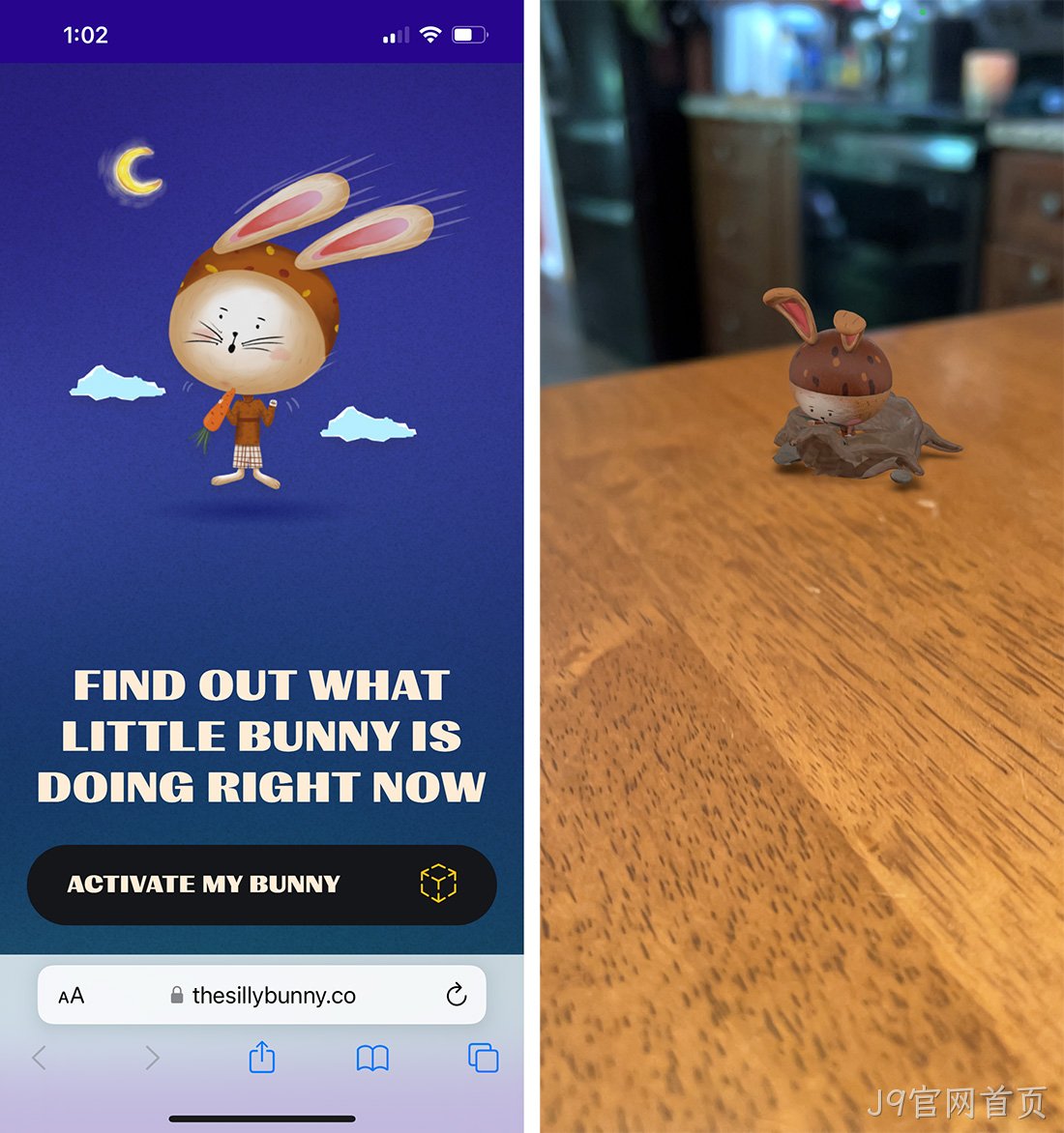 傻兔子