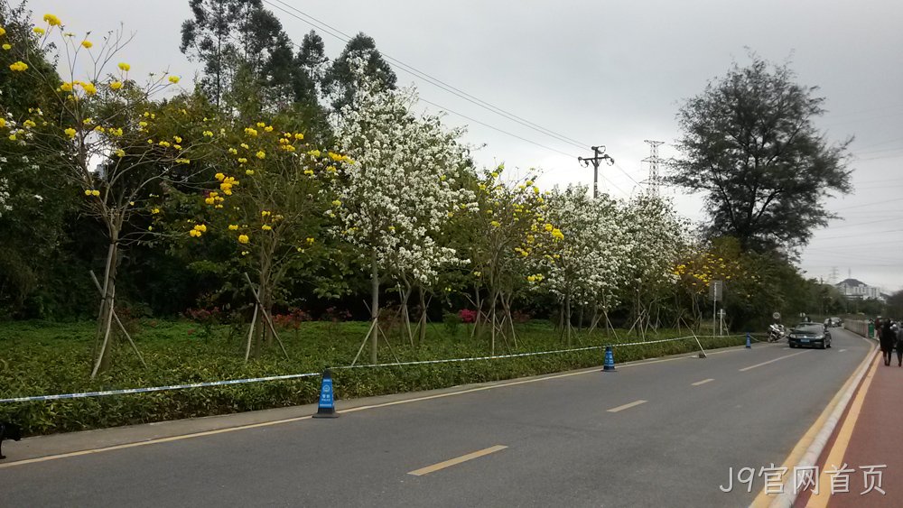 J9官网首页仙湖行